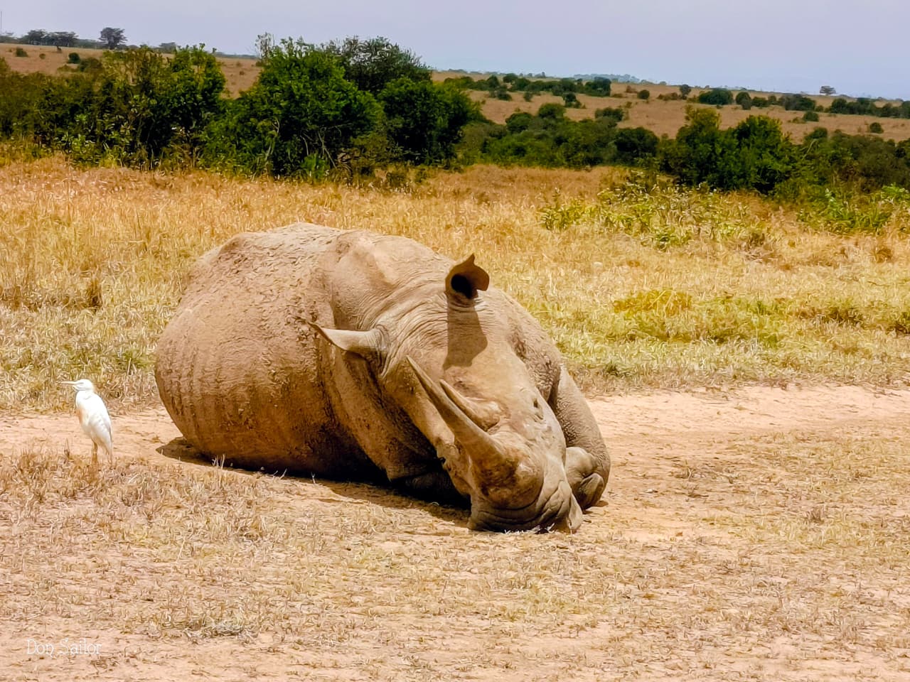 About Dream Africa Safaris