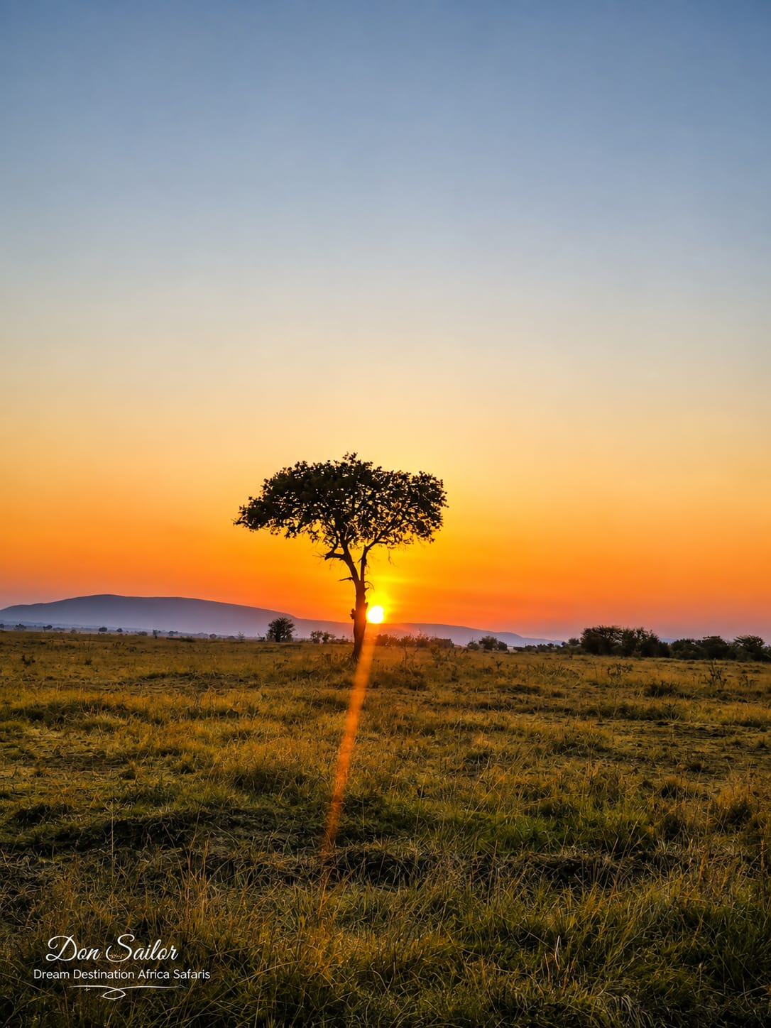 About Dream Africa Safaris
